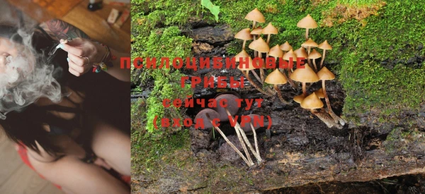 mdpv Новодвинск