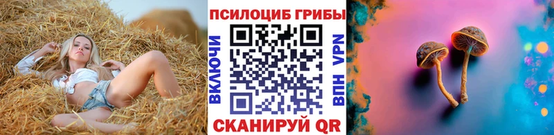 Псилоцибиновые грибы прущие грибы  Купить закладки  Ишим 